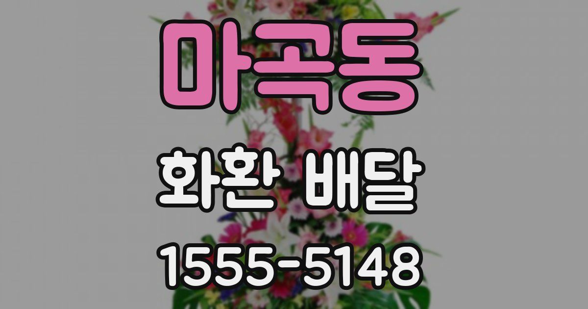 마곡동 화환 배달