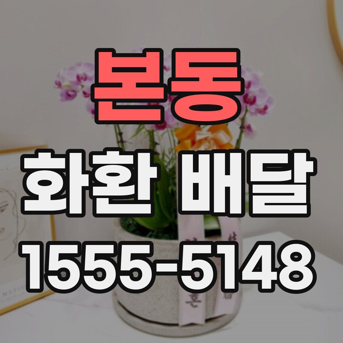 본동 화환 배달