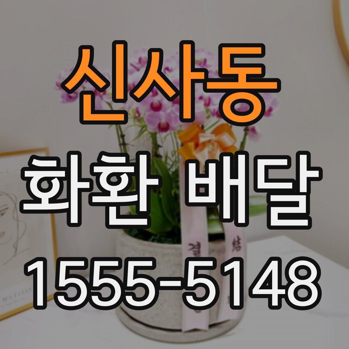 신사동 화환 배달