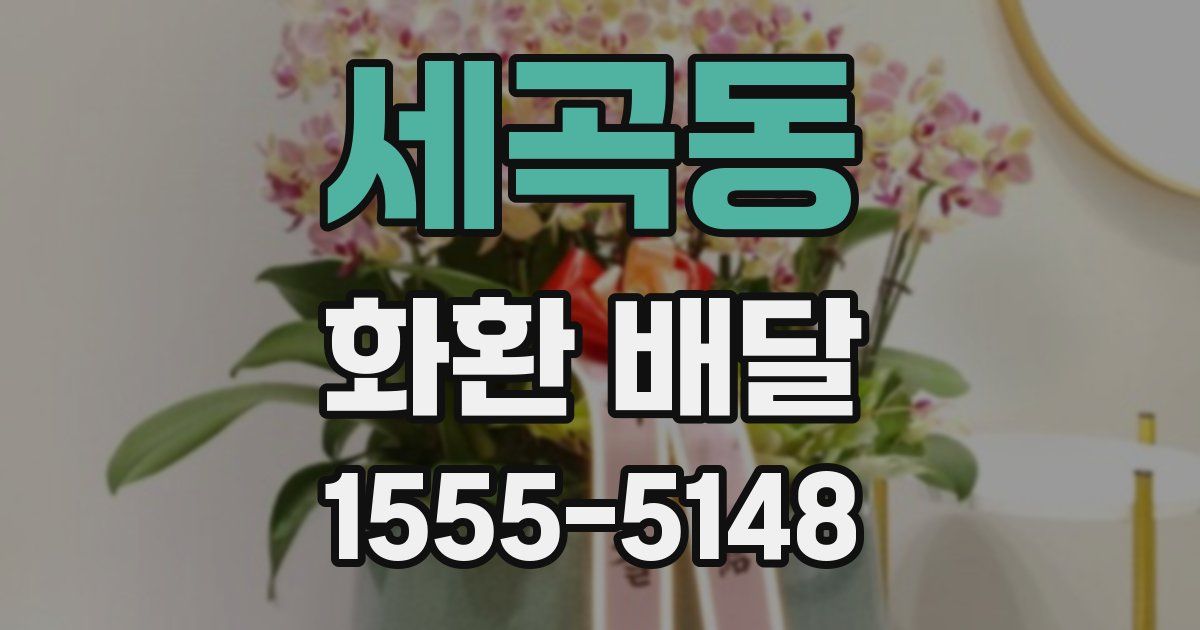 세곡동 화환 배달