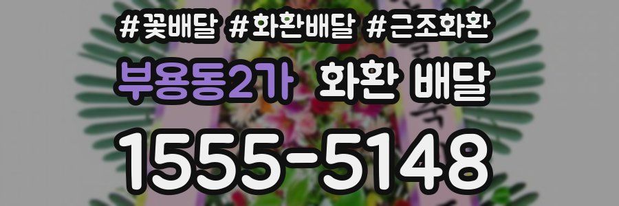 부용동2가 화환 배달