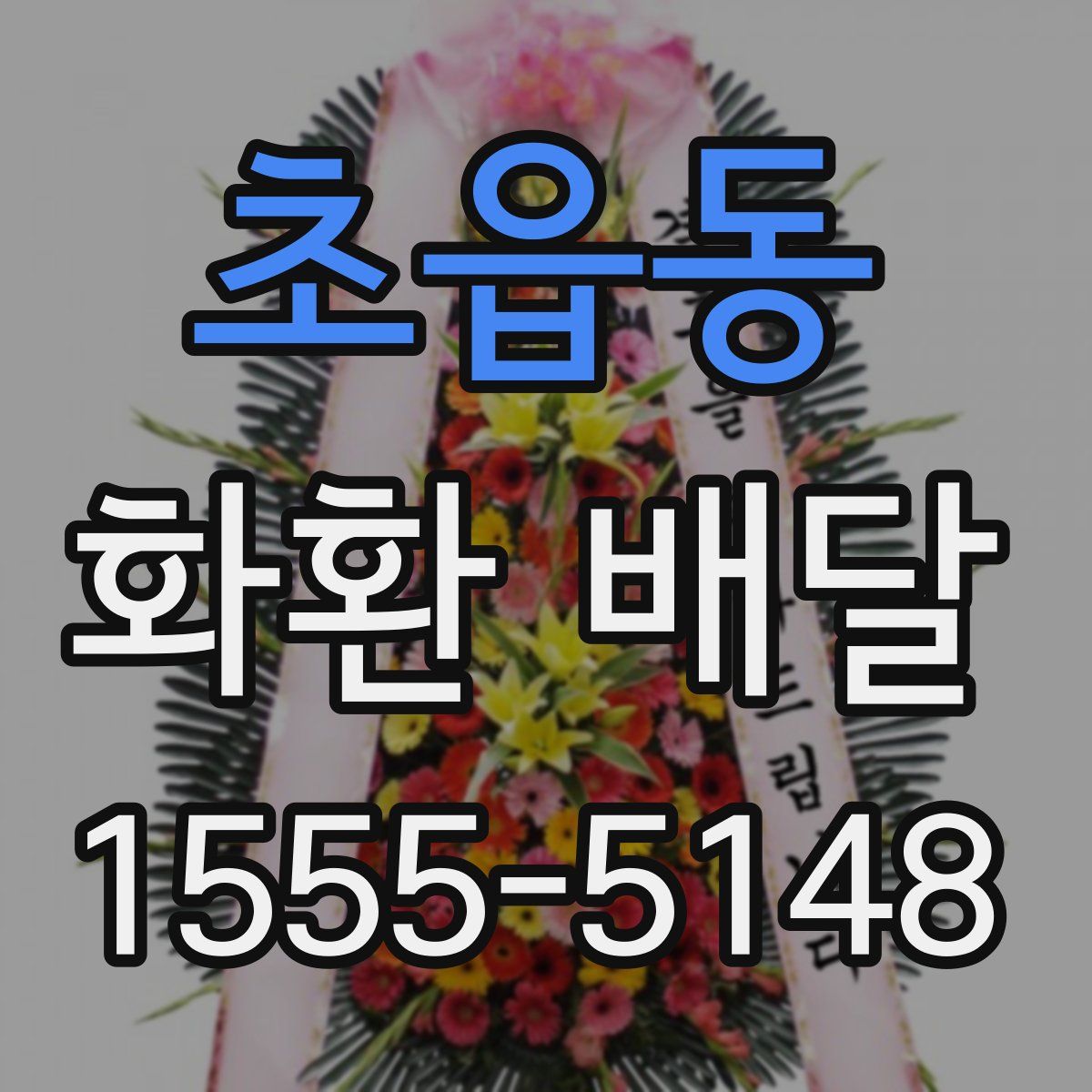 초읍동 화환 배달