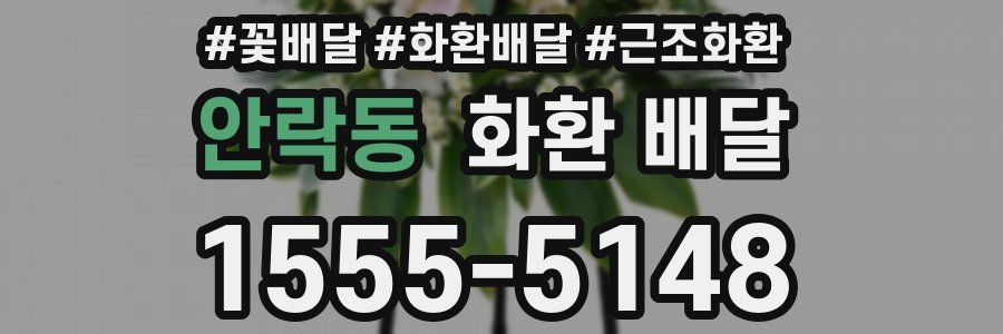 안락동 화환 배달