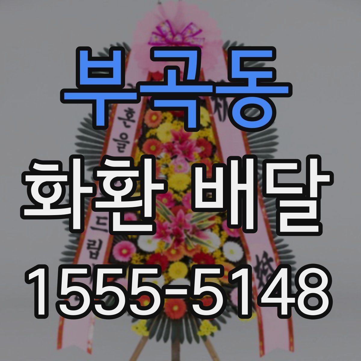 부곡동 화환 배달 지역 내 업체 선택 시 비교 항목 정리
