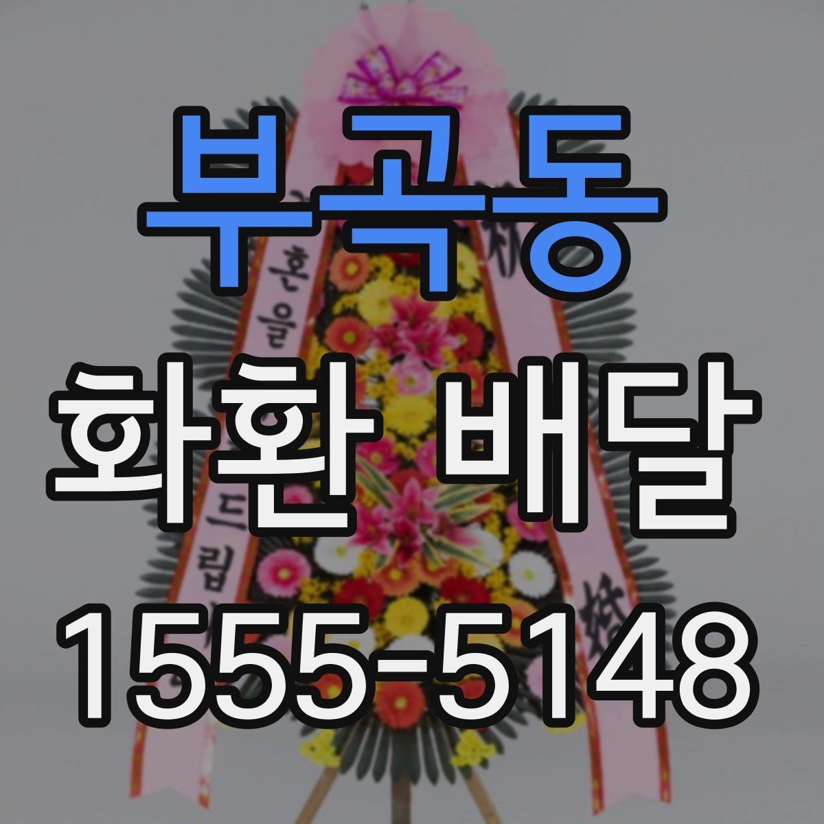 부곡동 화환 배달