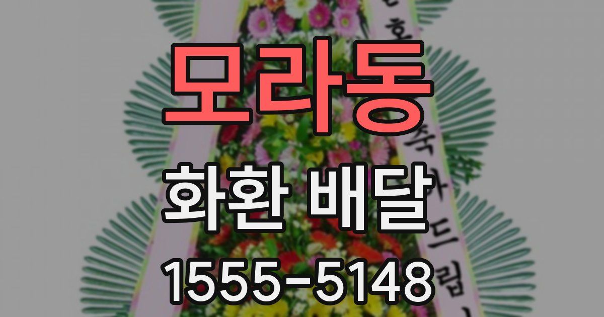 모라동 화환 배달