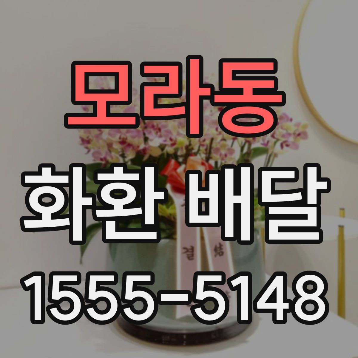 모라동 화환 배달