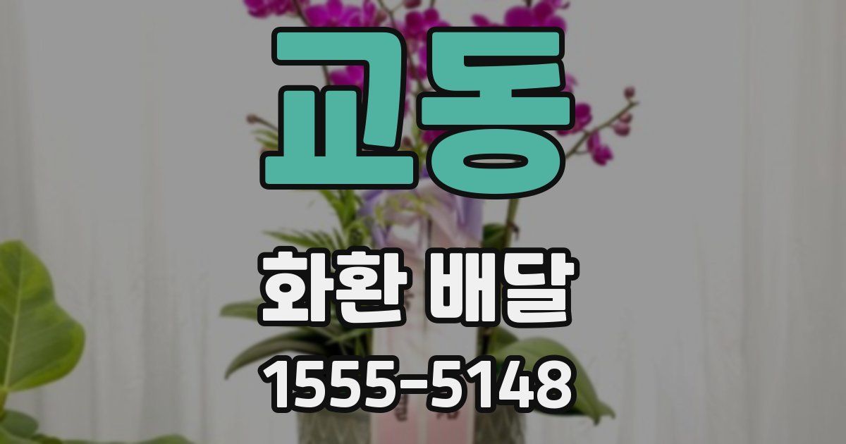 교동 화환 배달