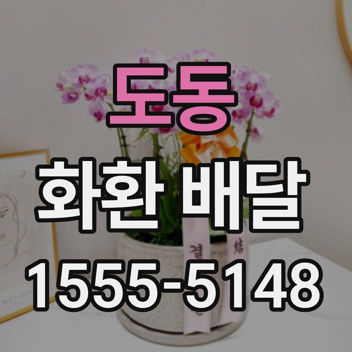 도동 화환 배달