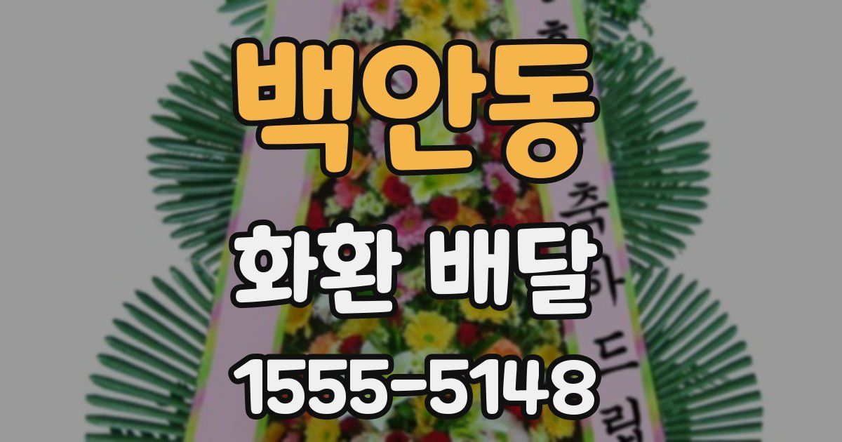 백안동 화환 배달