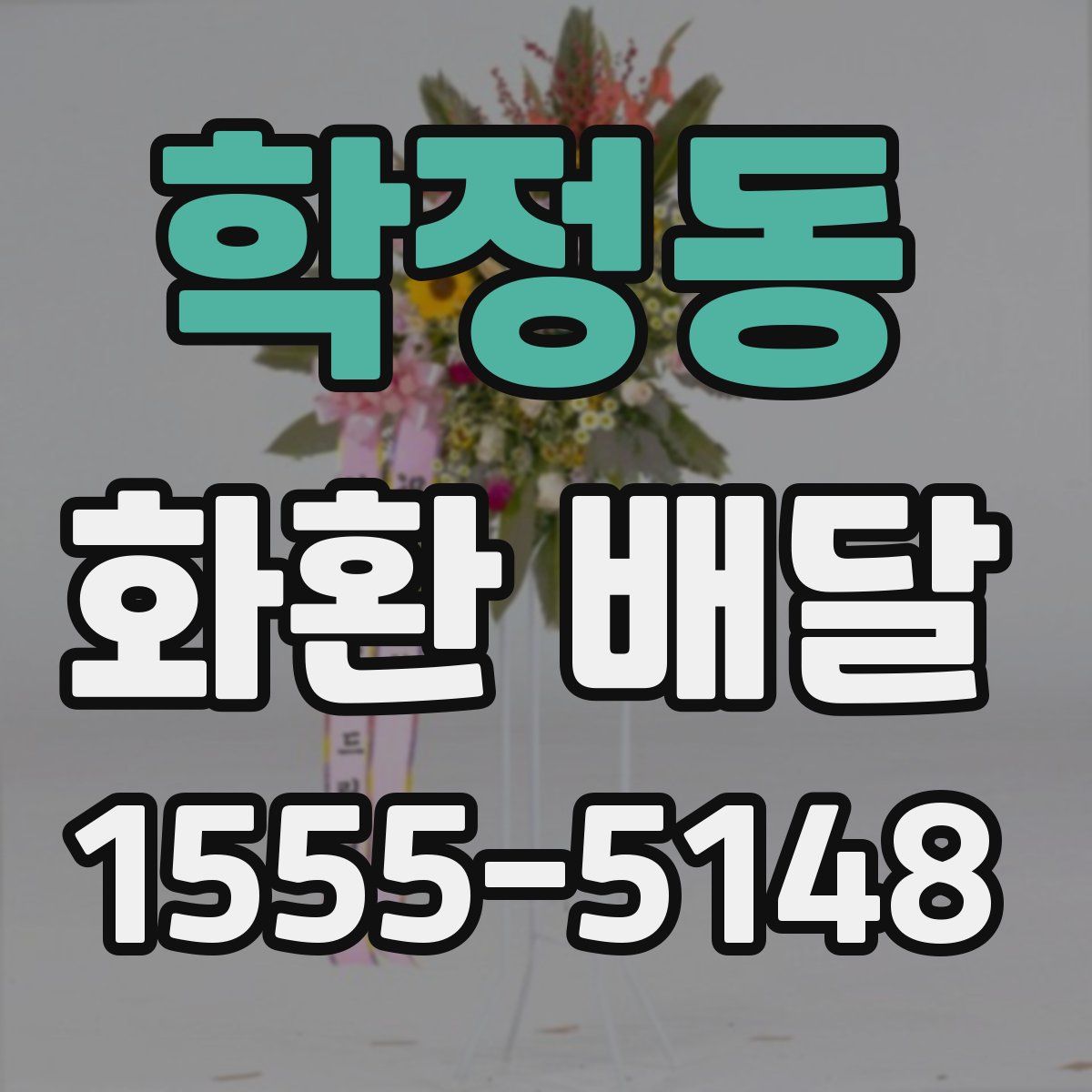 학정동 화환 배달