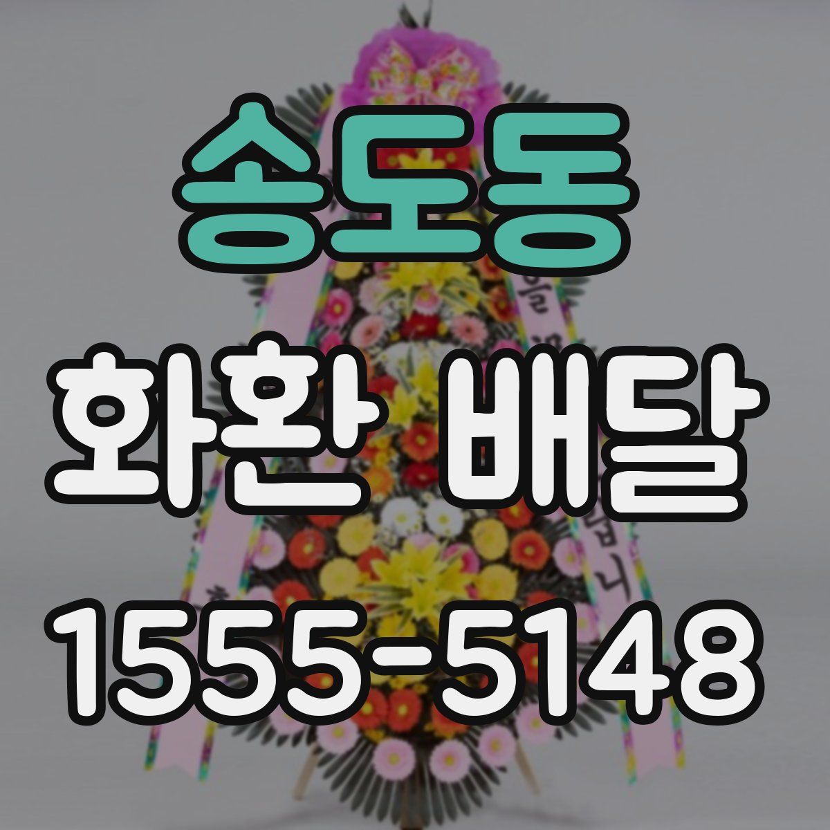 송도동 화환 배달