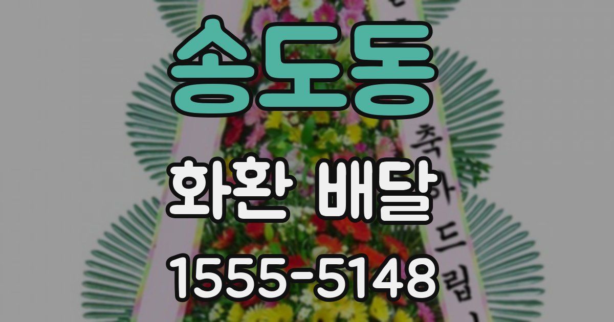 송도동 화환 배달
