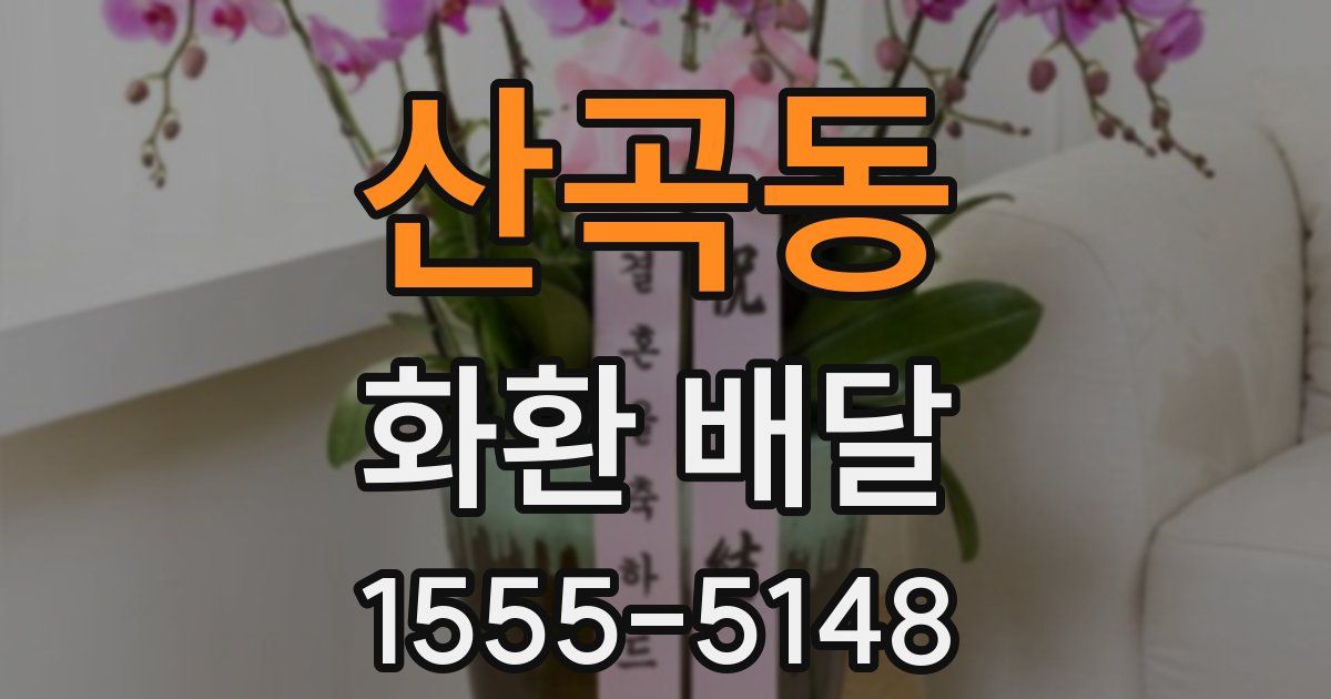 산곡동 화환 배달
