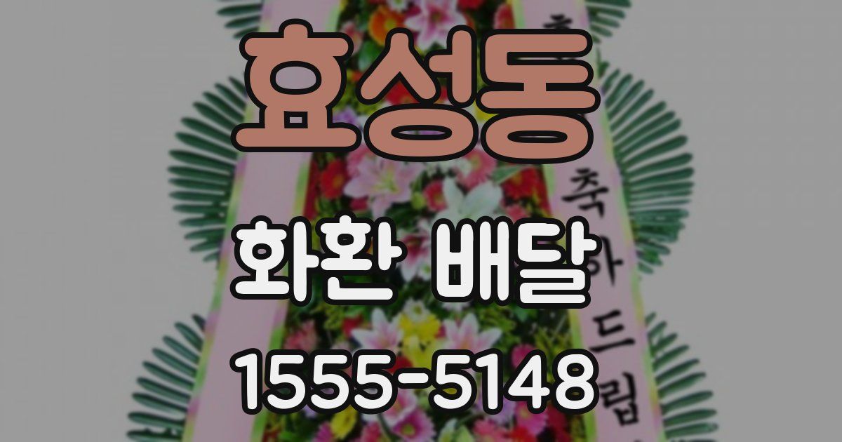효성동 화환 배달