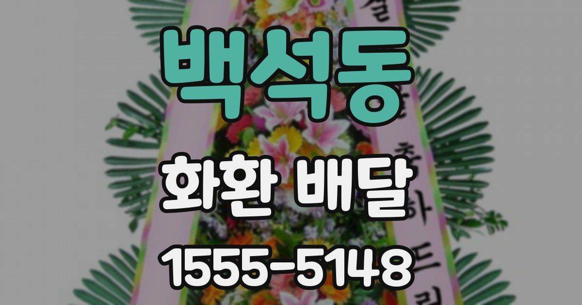 백석동 화환 배달
