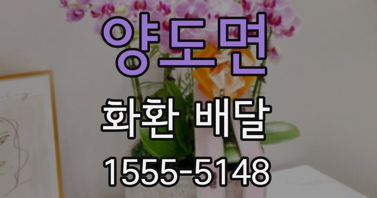 양도면 화환 배달