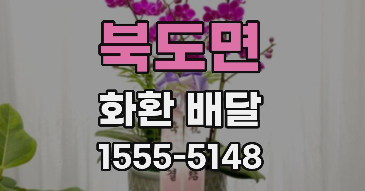 북도면 화환 배달