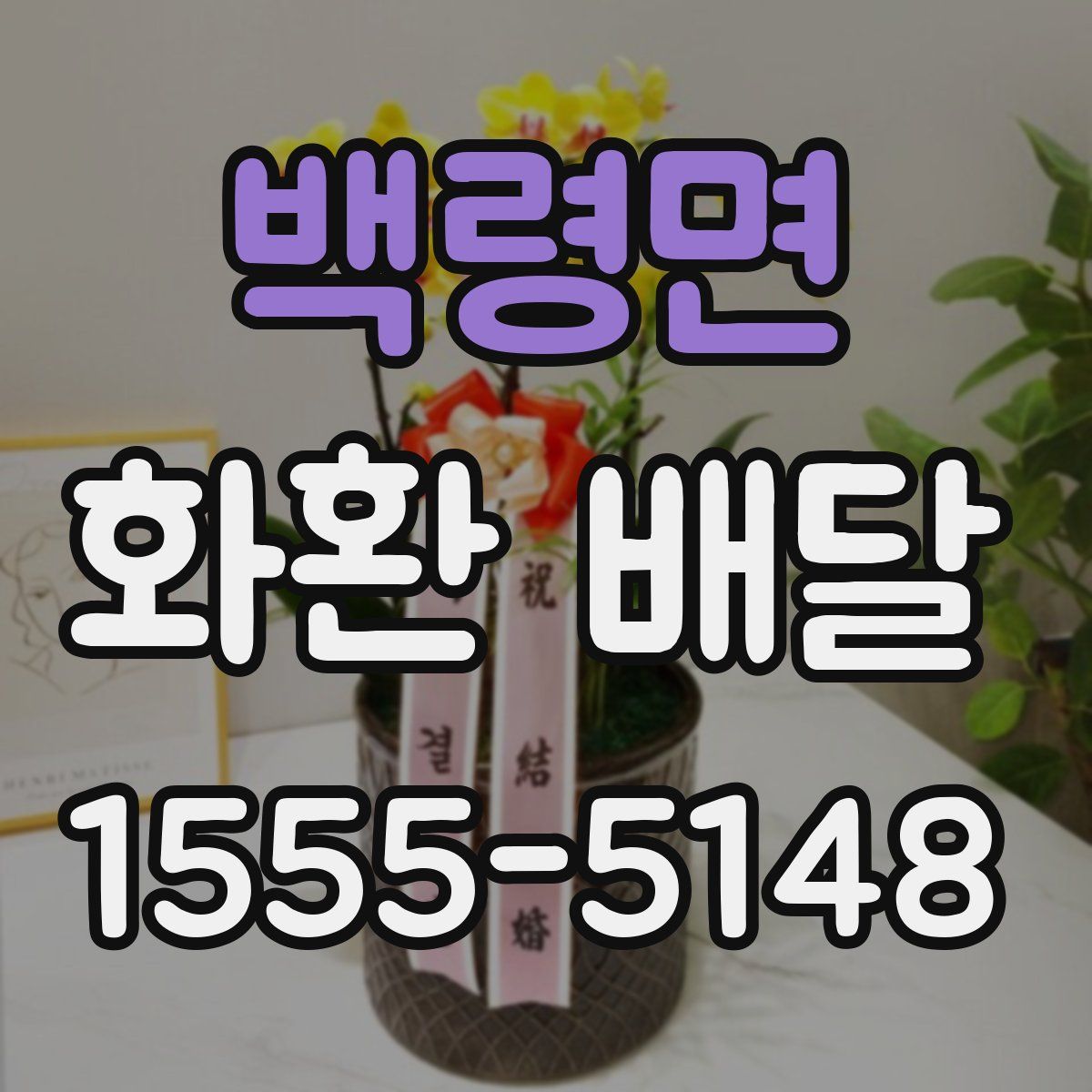 백령면 화환 배달