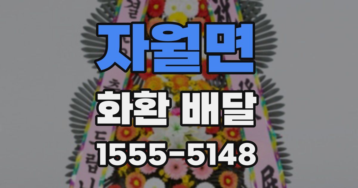 자월면 화환 배달