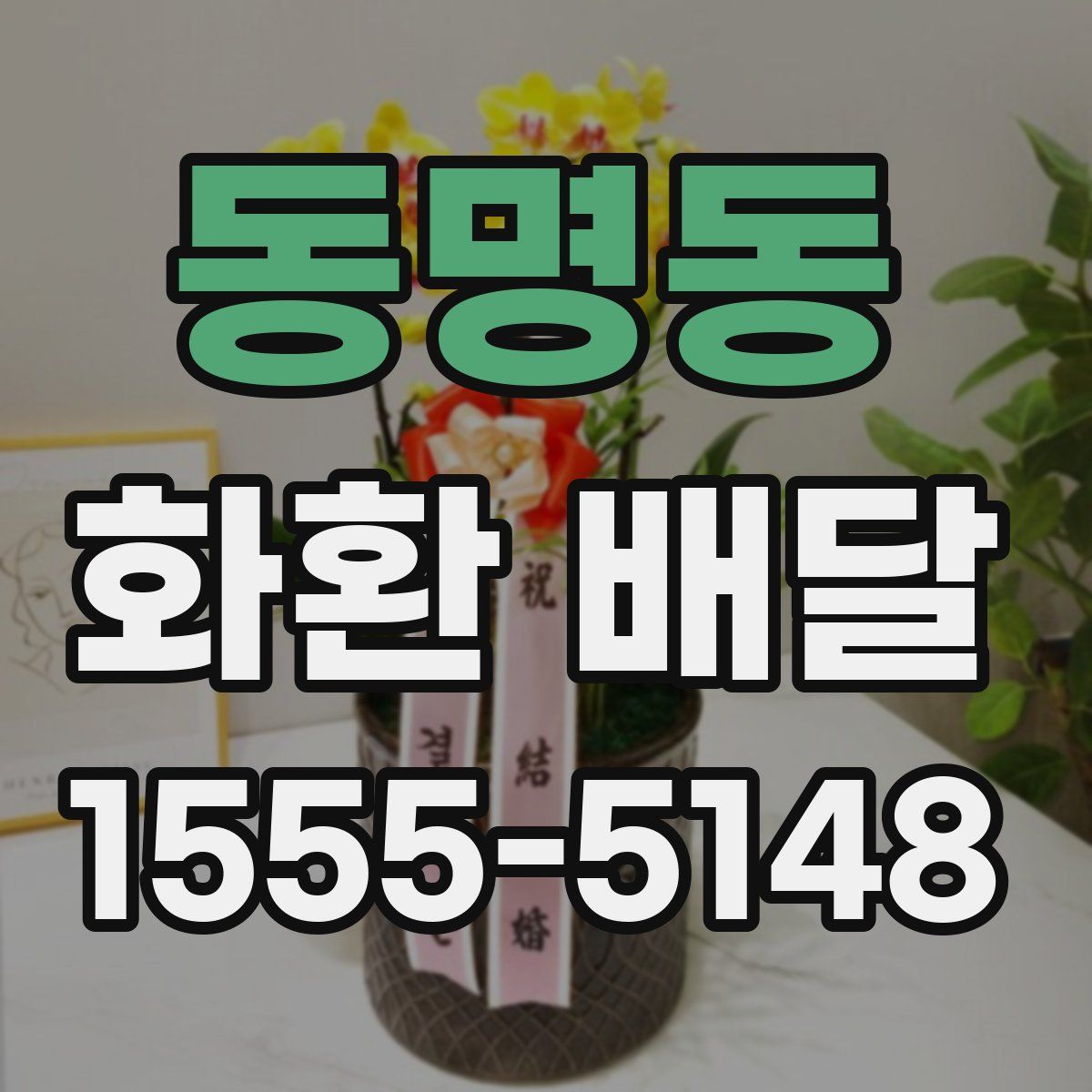 동명동 화환 배달