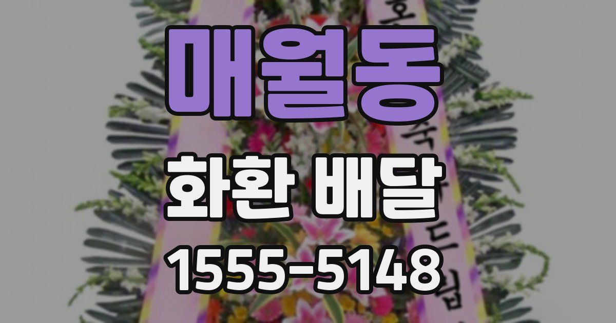 매월동 화환 배달