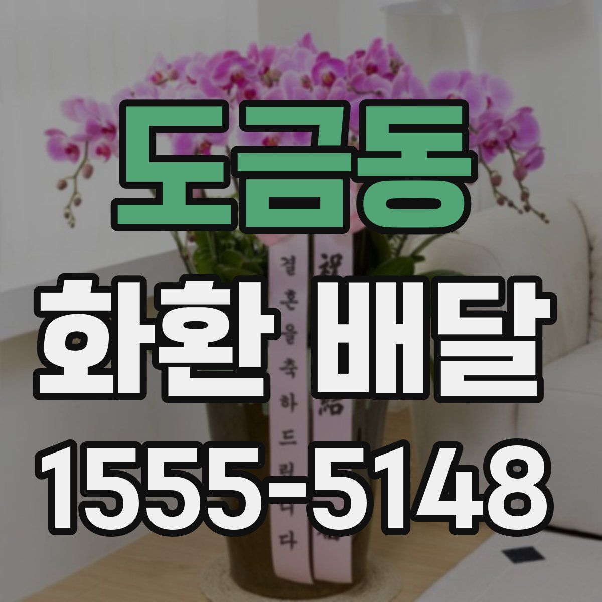 도금동 화환 배달