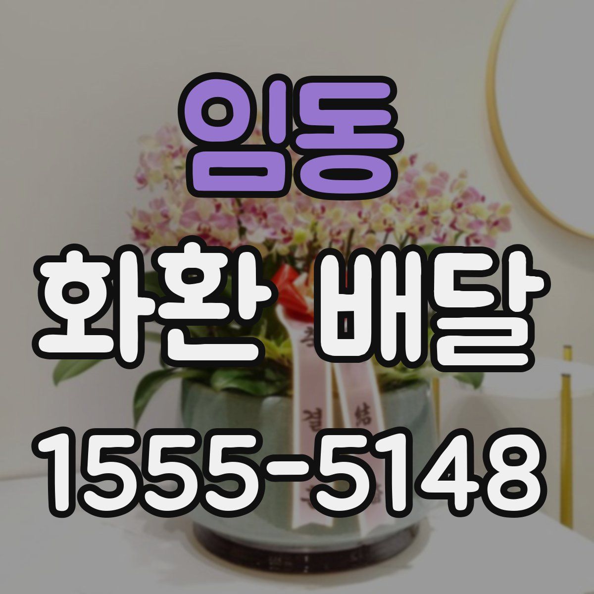 임동 화환 배달