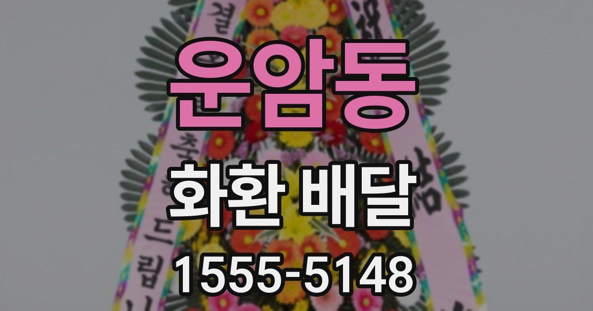 운암동 화환 배달