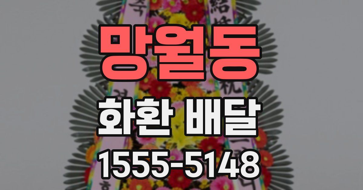 망월동 화환 배달