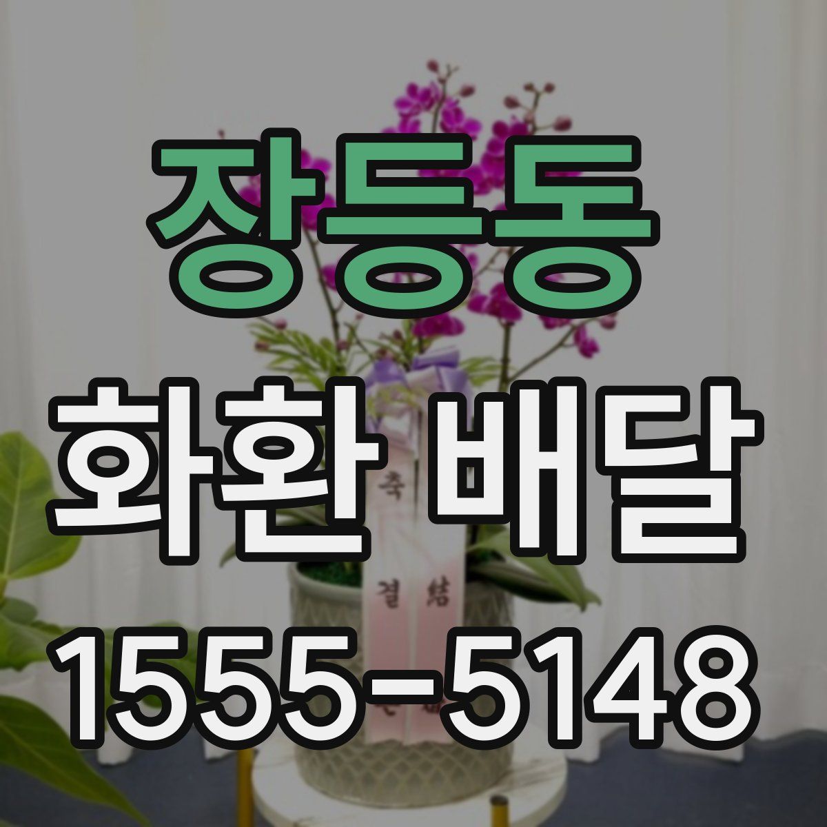 장등동 화환 배달