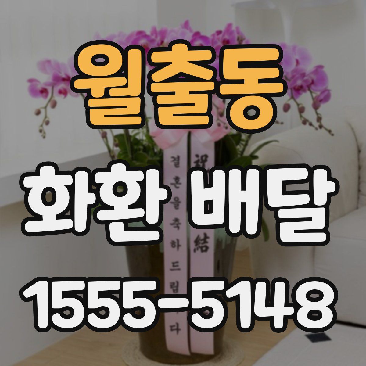 월출동 화환 배달