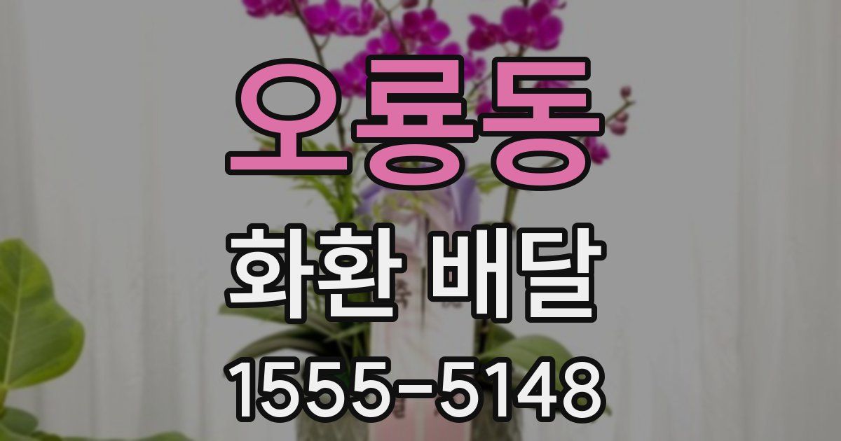 오룡동 화환 배달