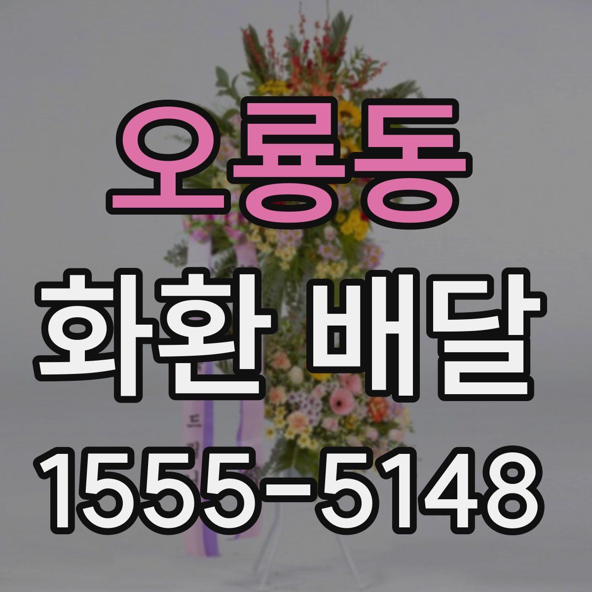 오룡동 화환 배달
