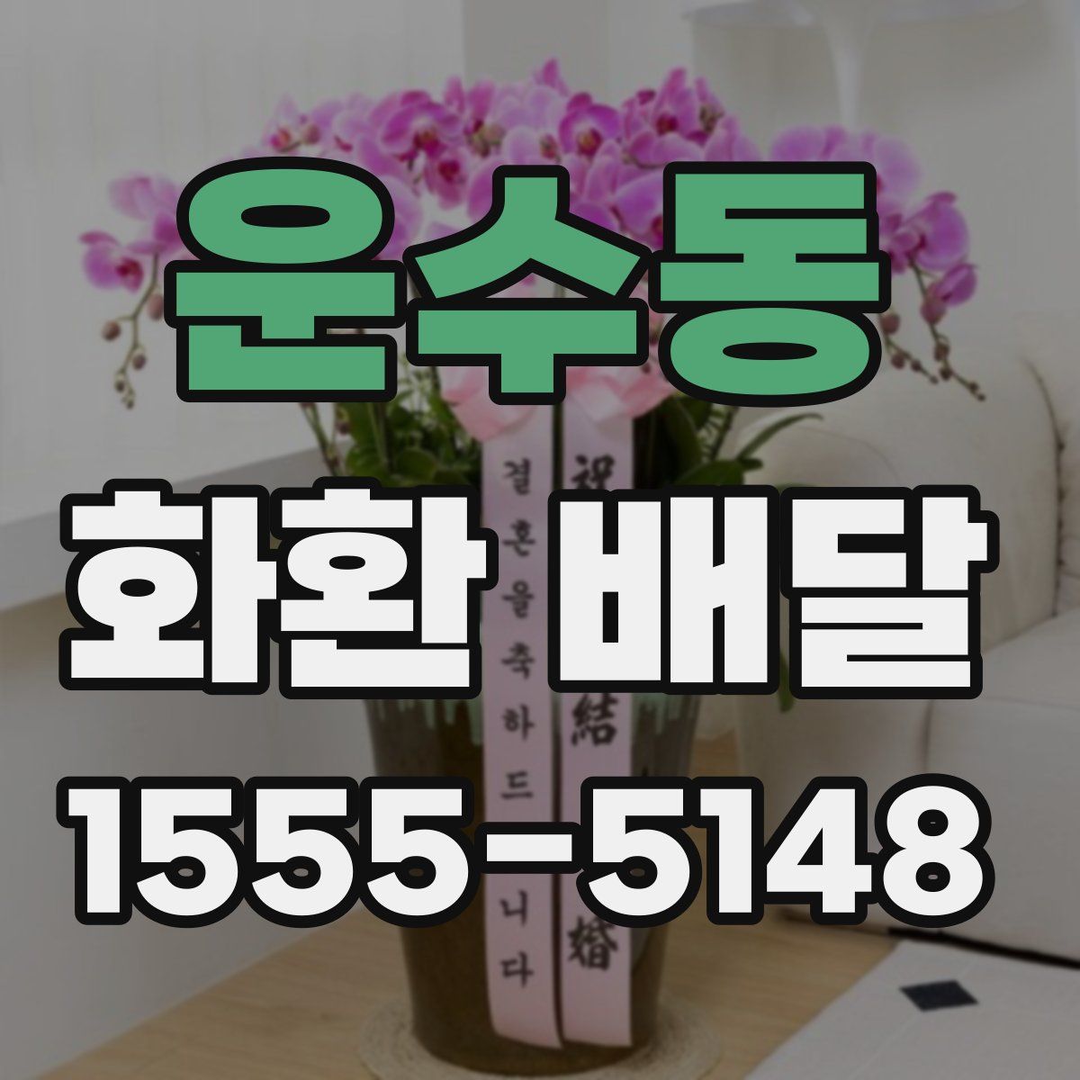 운수동 화환 배달