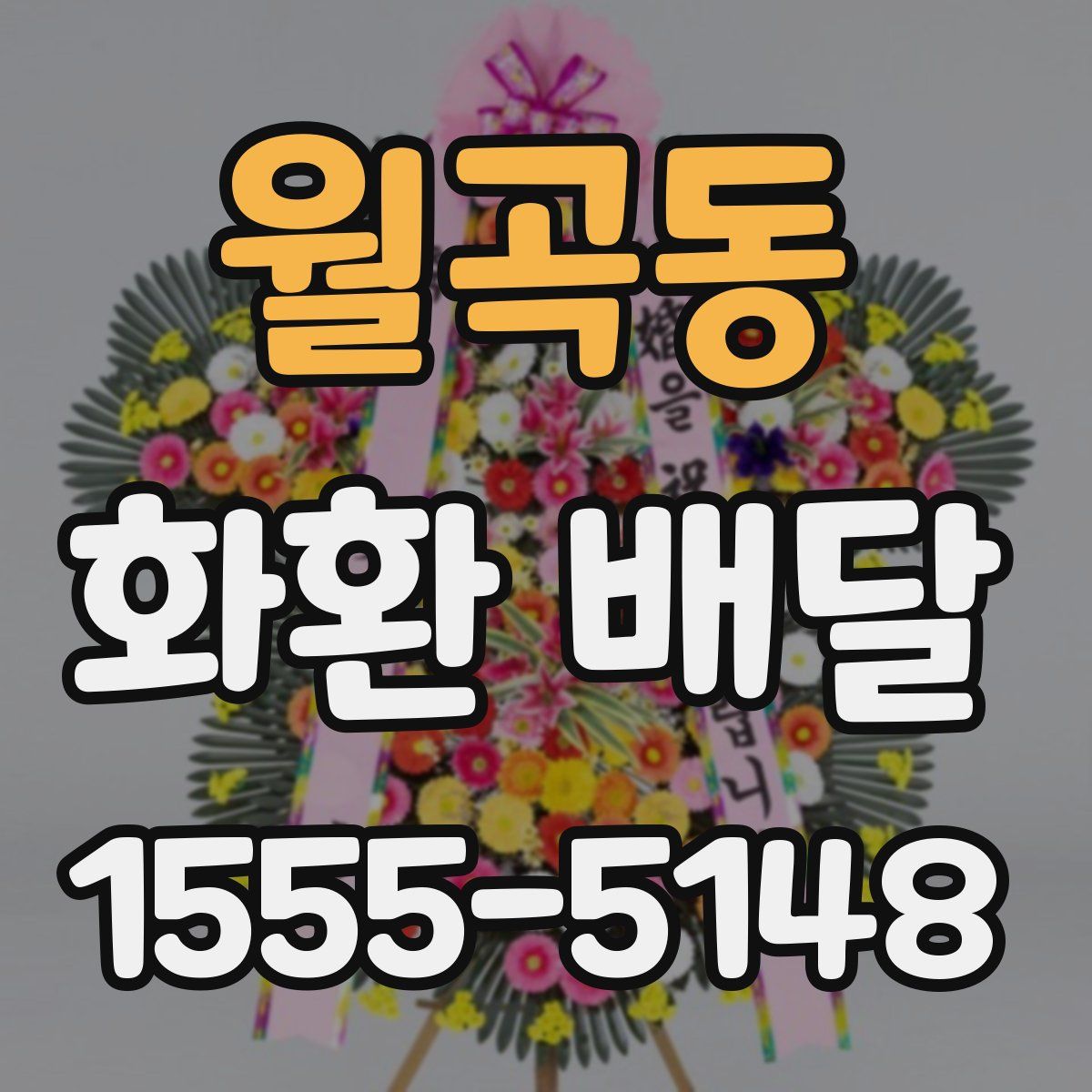 월곡동 화환 배달