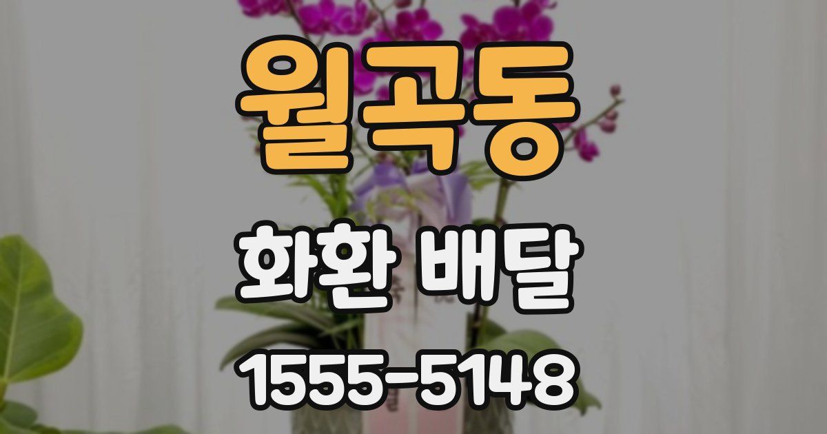 월곡동 화환 배달