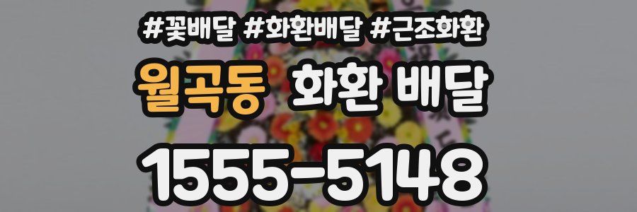 월곡동 화환 배달