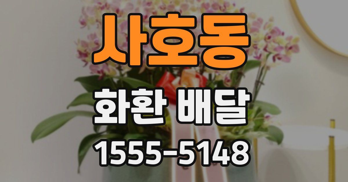 사호동 화환 배달