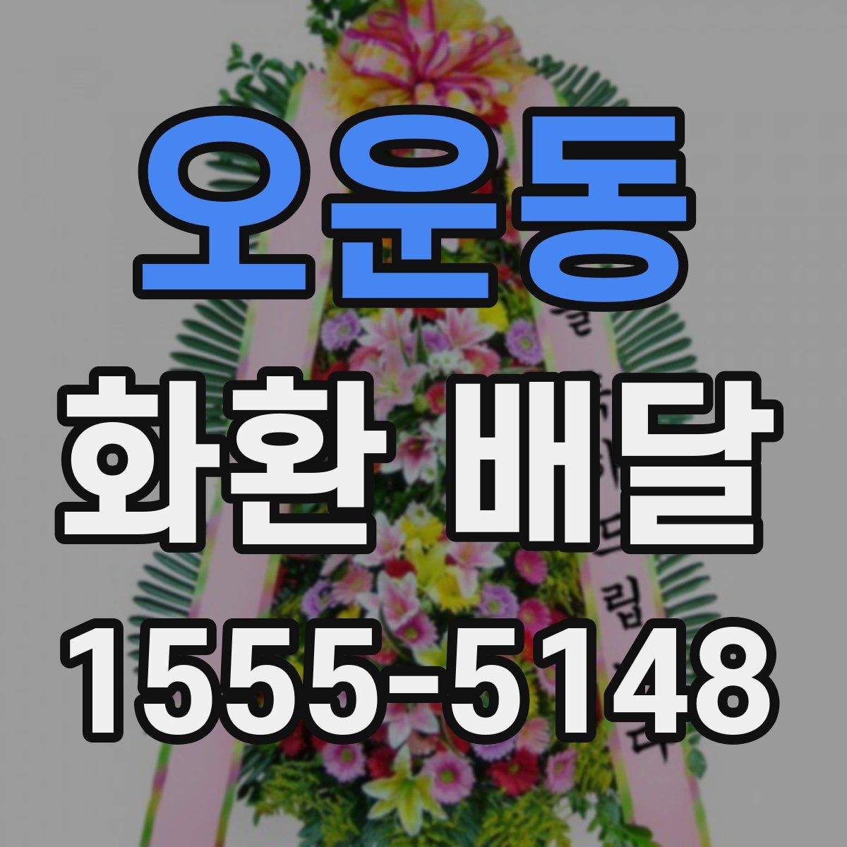 오운동 화환 배달