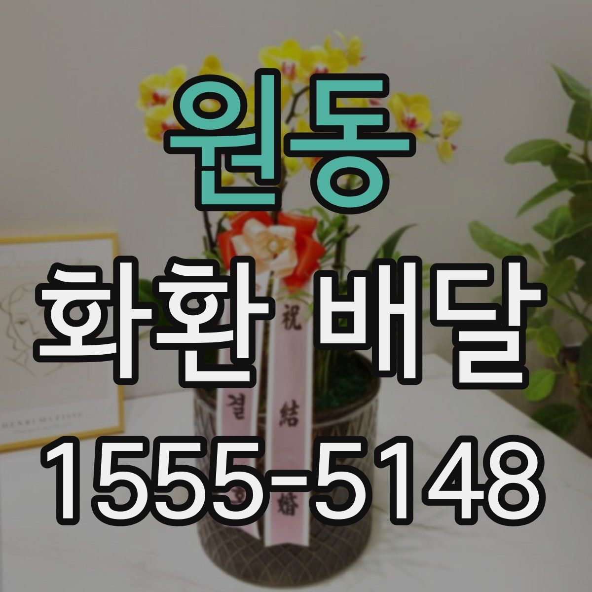원동 화환 배달