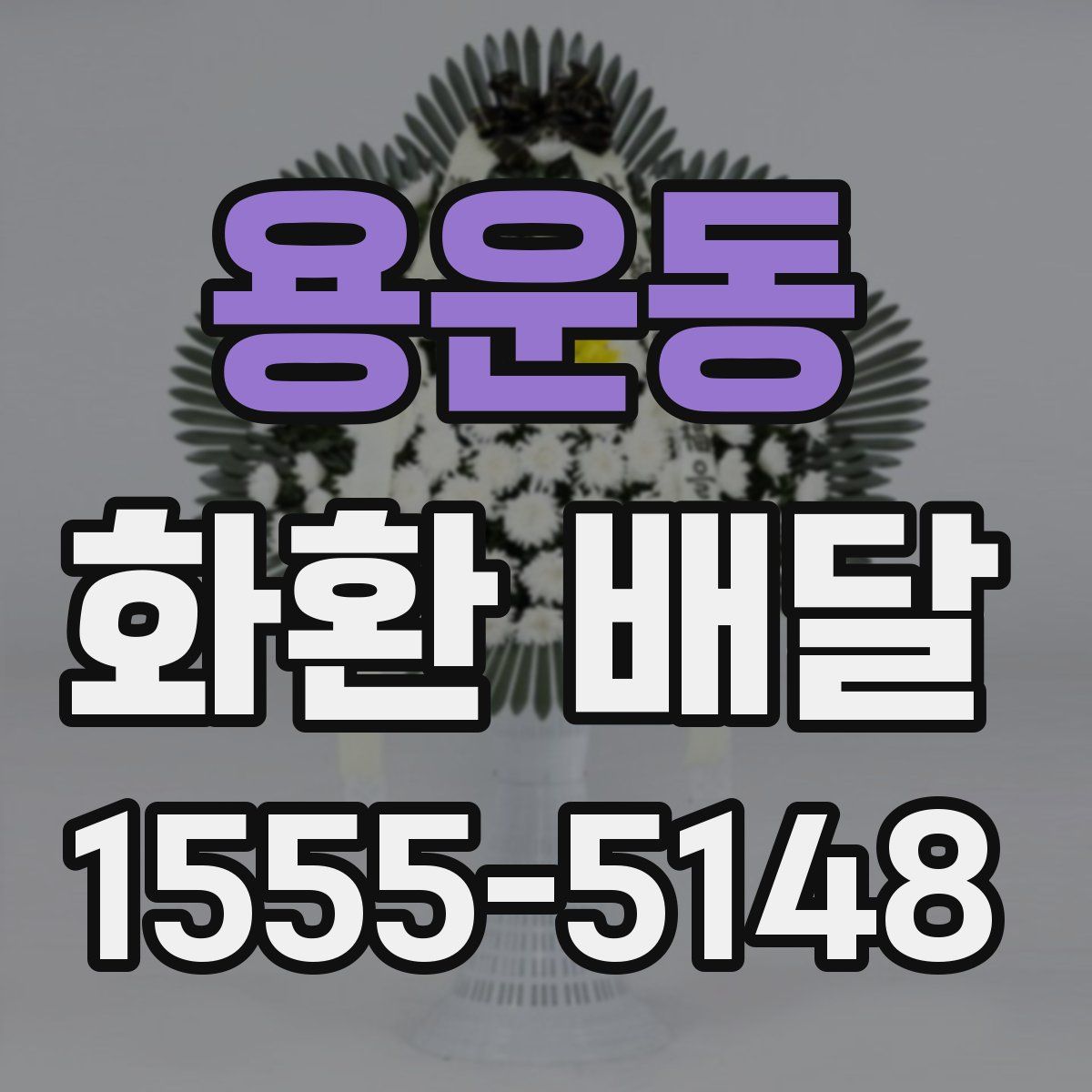 용운동 화환 배달