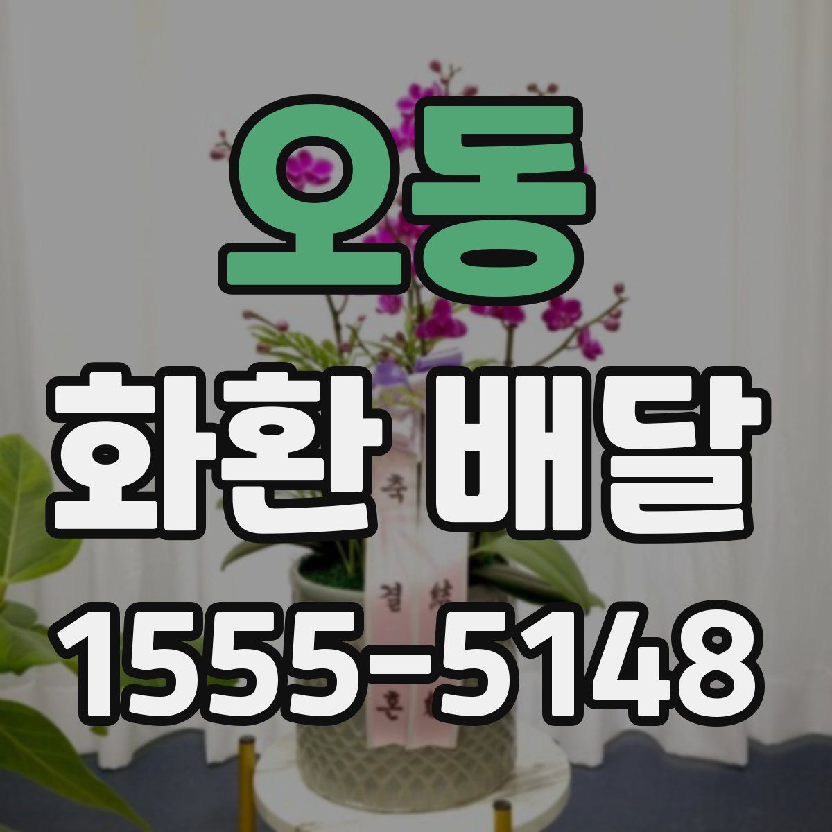 오동 화환 배달