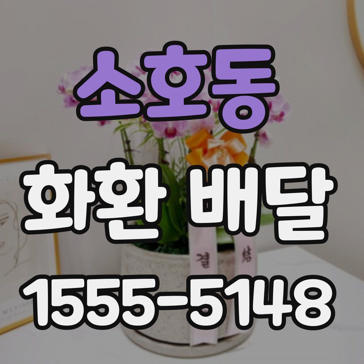 소호동 화환 배달