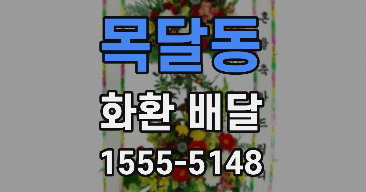 목달동 화환 배달