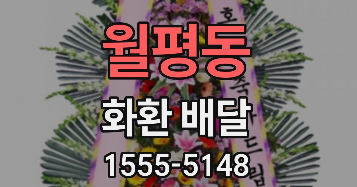월평동 화환 배달