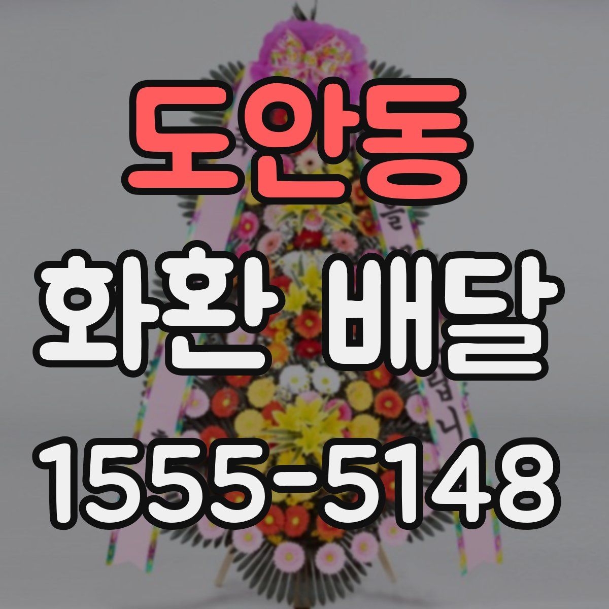 도안동 화환 배달