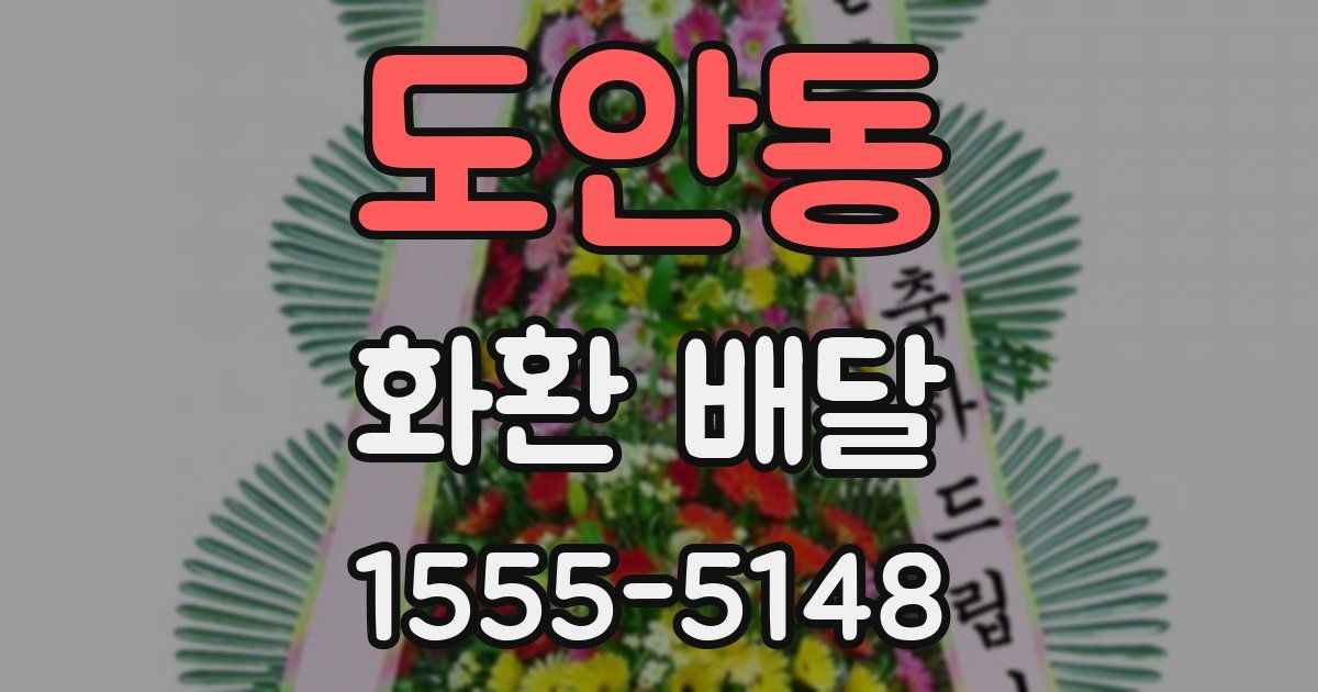 도안동 화환 배달