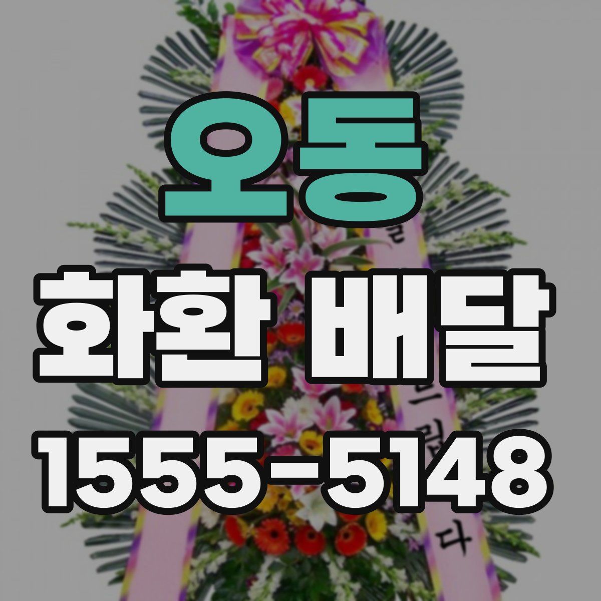오동 화환 배달