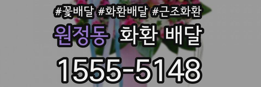 원정동 화환 배달
